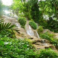 Bus & Minivan Tours