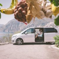 Wine Tasting & Winery Tours