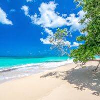 Walking & Biking Tours
