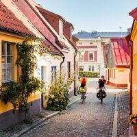 Bike Rentals