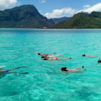 Ports of Call Tours