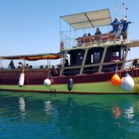 Private & Custom Tours