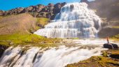 Dyjandi waterfall and farm visit half day tour
