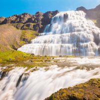 Tours & Sightseeing