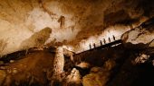 Guided cave tour
