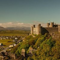 Multi-day Tours