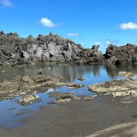 Bus & Minivan Tours