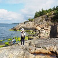 Half-day Tours