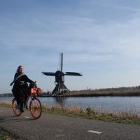 Private & Custom Tours