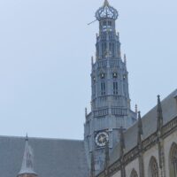 Shore Excursions