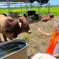 Sustainable Tours