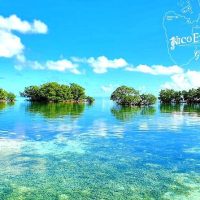 Luxury Tours