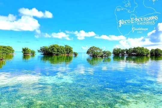 New Year’s Eve in Guadeloupe