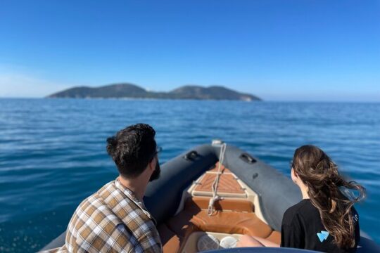 Valentine's Day in Vlore