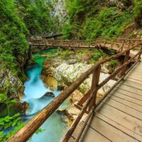 Self-guided Tours & Rentals