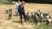 Farm to Table is a real experience, especially for children.