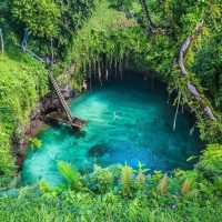 Cruises, Sailing & Water Tours