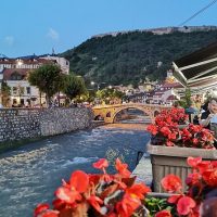 Tours & Sightseeing