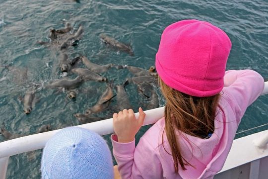 Halloween in Phillip Island