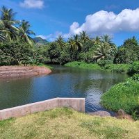 Cultural & Theme Tours