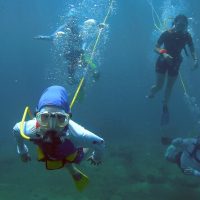 Scuba Diving