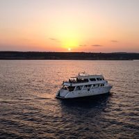 Half-day Tours