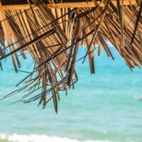 Private & Custom Tours