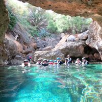 Walking & Biking Tours