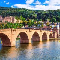 Bus & Minivan Tours