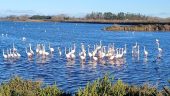 Interesting and beautiful bike tour with Stephan in Camargue