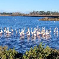 Luxury Tours