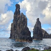 Private Sightseeing Tours