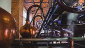 Braastad Cognac discovery is excellent