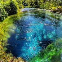 Eco Tours