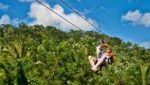 Zip lines