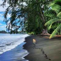 Bus & Minivan Tours