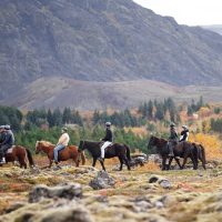 Horseback Riding