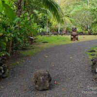 Ports of Call Tours