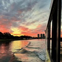 Day Cruises
