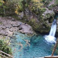 Bus & Minivan Tours