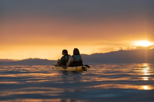Easter in Kaikoura
