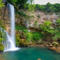 Shore Excursions