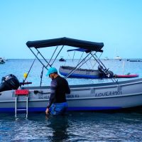 Shore Excursions