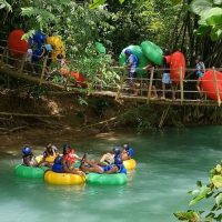 Shore Excursions
