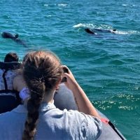 Cruises, Sailing & Water Tours