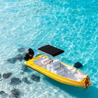 Day Cruises