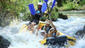 An amazing experience....