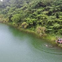 Boat Tours