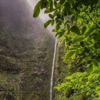 Eco Tours