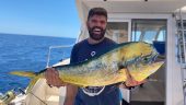 Tuna. Galore